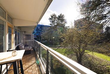 99f810f481d961af4aca6c0f7fda773e