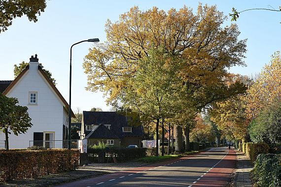 Nieuw-Loosdrechtsedijk 87