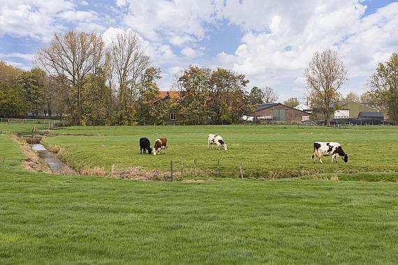 Bovenkerkerweg 0 ong