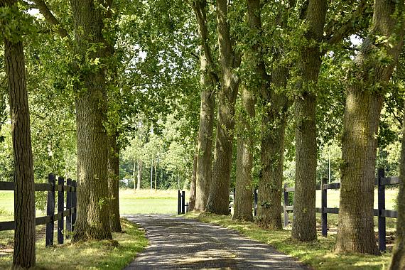 Woerdenseweg 3