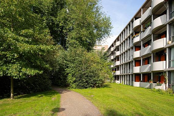 Het Laagt 272