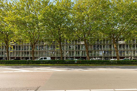 Het Laagt 272