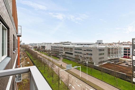 Anna Blamansingel 51