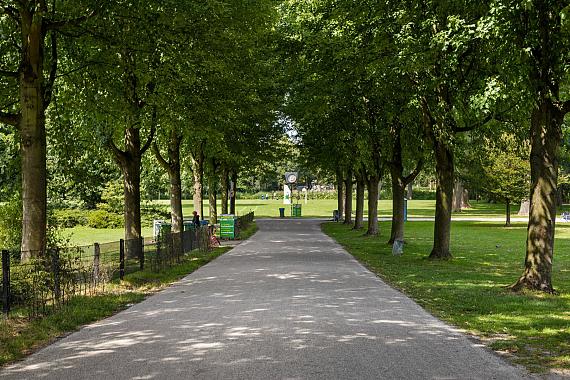 Van Speijkstraat 141 2