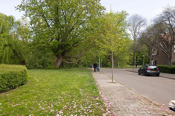 Medemblikstraat 44