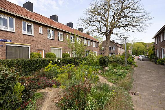 Medemblikstraat 44