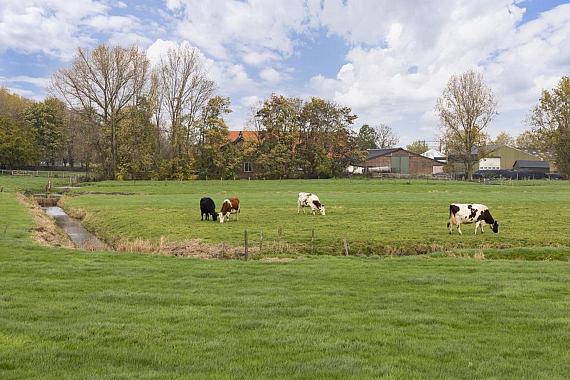 Bovenkerkerweg 0 ong