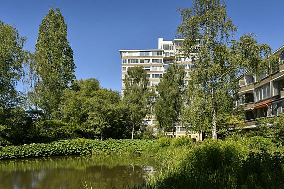 Meander 795