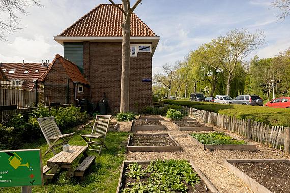 Zwaagstraat 31