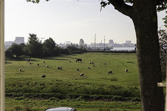 Schellingwouderdijk 99