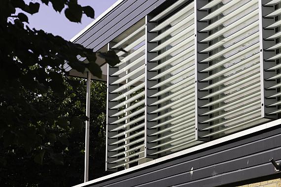 De Roos van Dekama 1