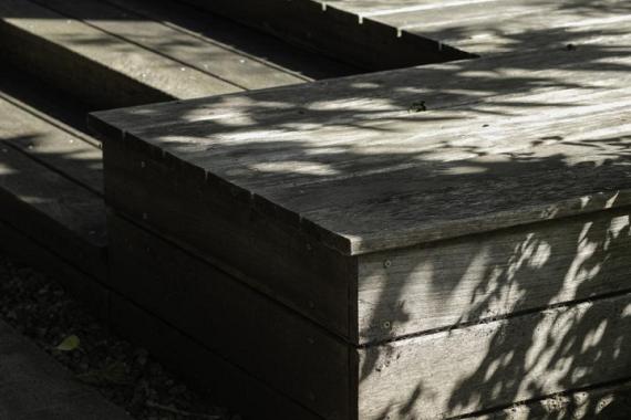 De Roos van Dekama 1