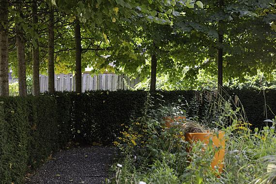 De Roos van Dekama 1