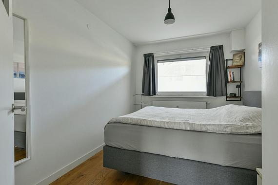 Oostelijk Halfrond 101