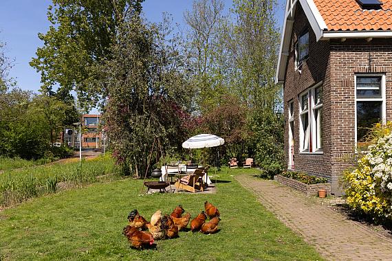 Wijkergouw 36