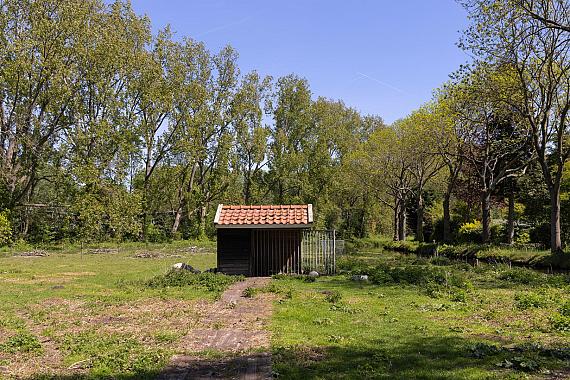 Wijkergouw 36