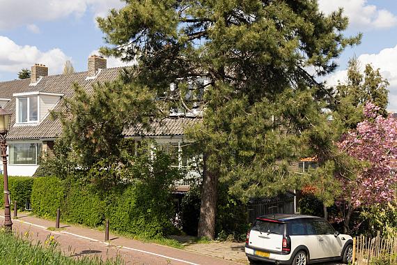 Schellingwouderdijk 331