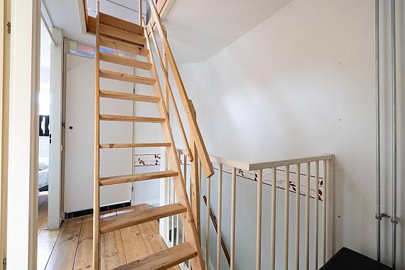 Betelgeuzestraat 14