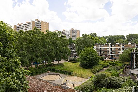 Dikninge 161