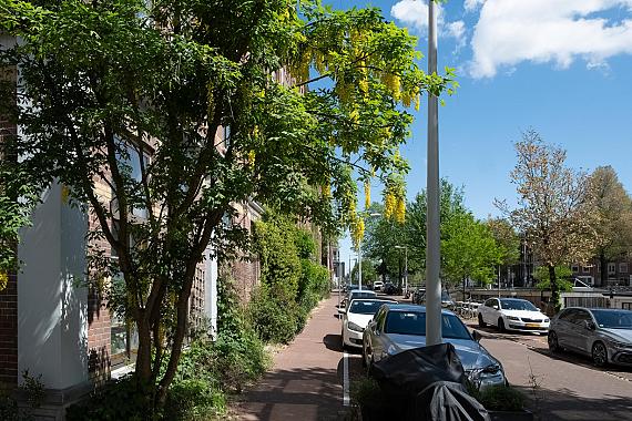 Van Houweningenstraat 64 1