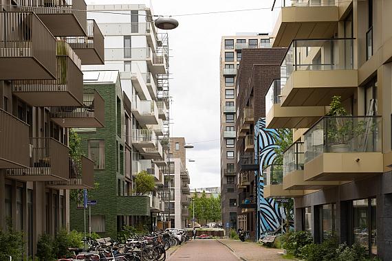 Ton van Duinhovenhof 3