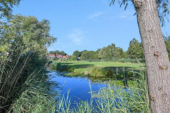 Wijkergouw 39