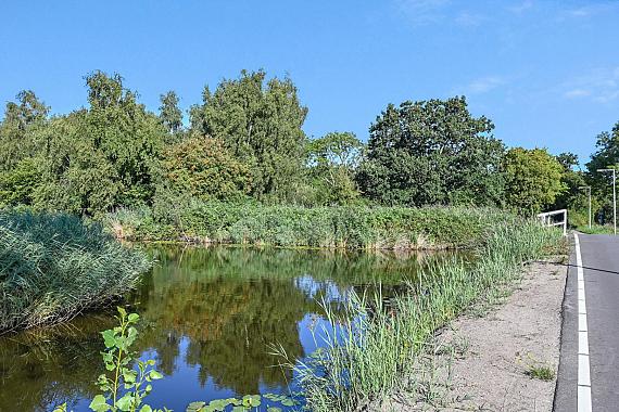 Wijkergouw 39