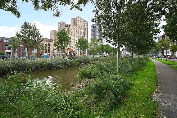 N. Lansdorpstraat 27