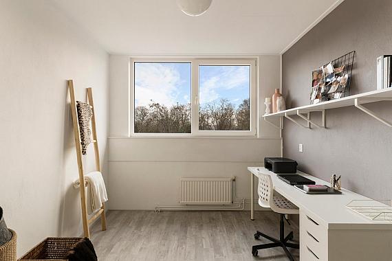 Bisschop Romerostraat 126