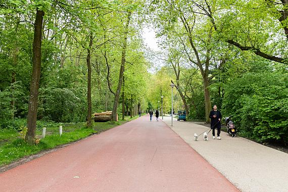 Rijnstraat 54 3